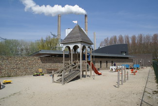 Varken in de wei